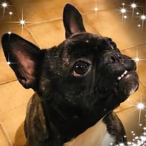 Meet your Posher, Jackie